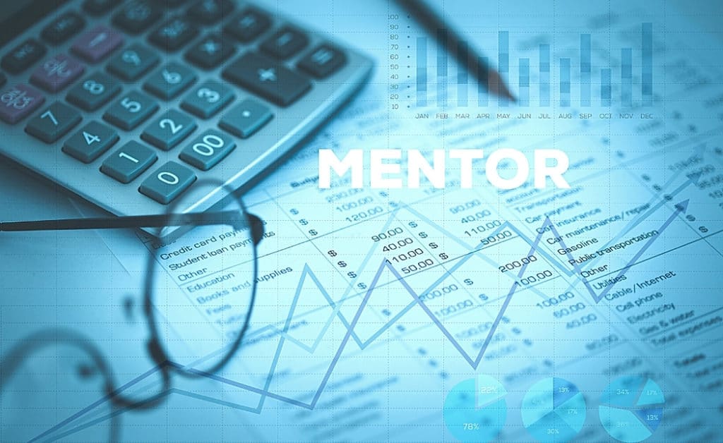 basics of mentoring
