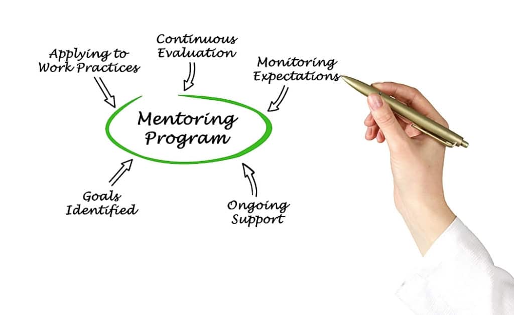 mentorship for businesses