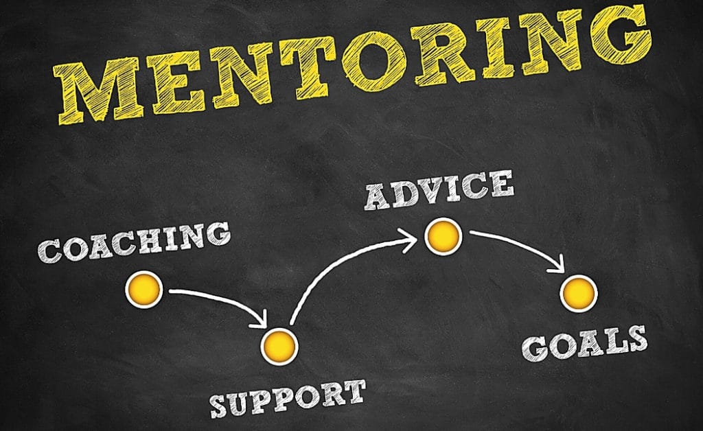 mentoring basics for success