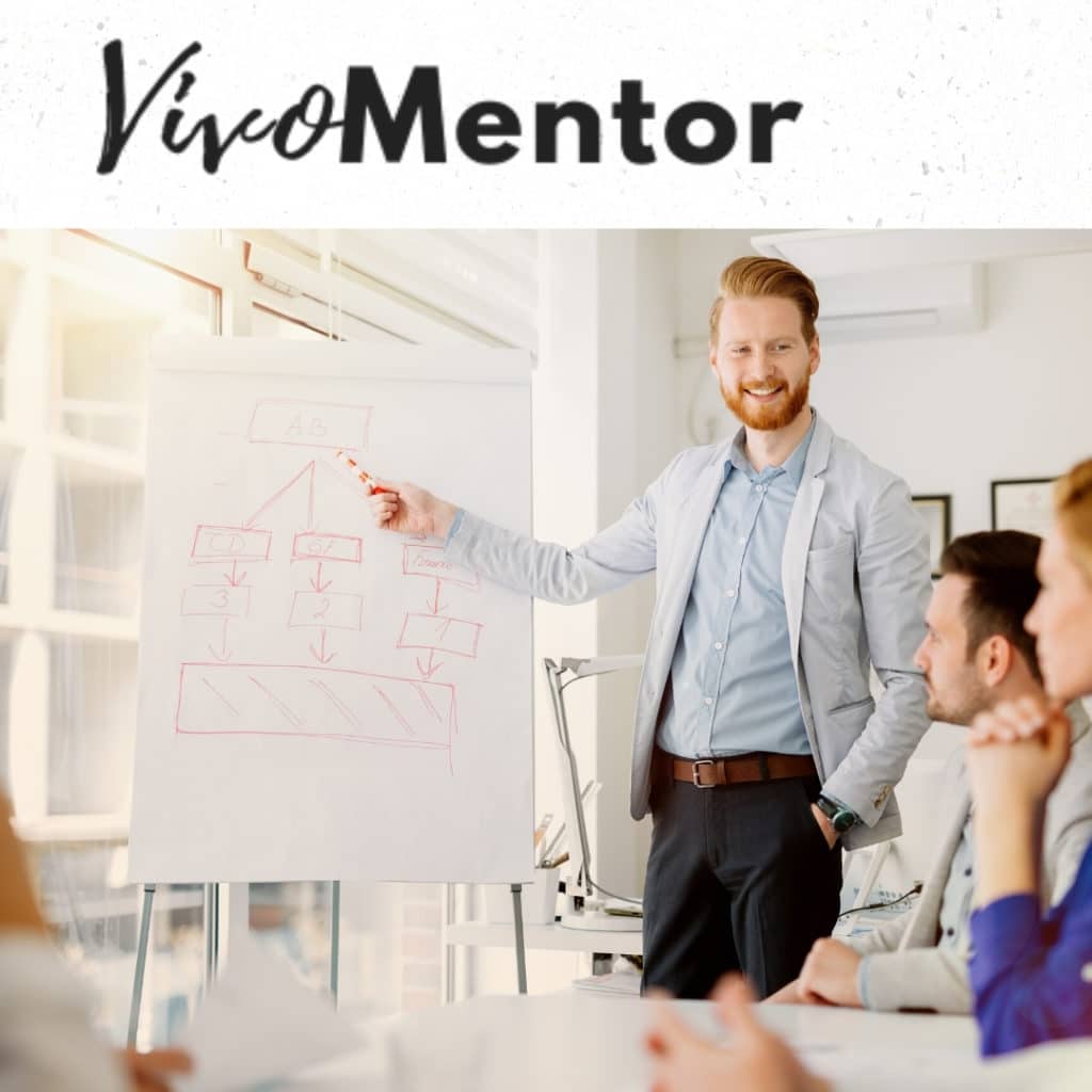 mentoring for new business owners